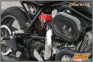 98er Buell_5