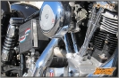 79er FLH