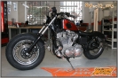 89er Sportster